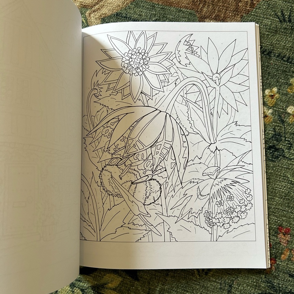 NEW Flowers Color by Numbers (Sirius Color by Numbers Collection, 12) - Picture 3 of 9